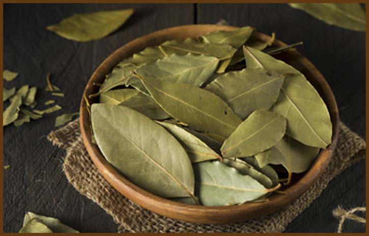 Bay leaf beauty benefits