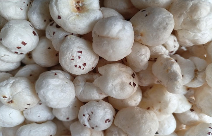 makhana or fox nuts